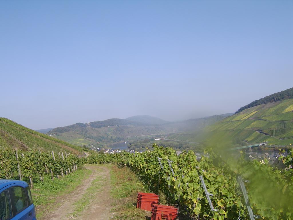 Weingut Matthias Dauns Apartment Reil Exterior photo
