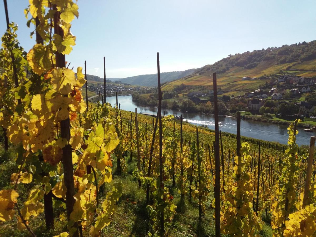 Weingut Matthias Dauns Apartment Reil Exterior photo